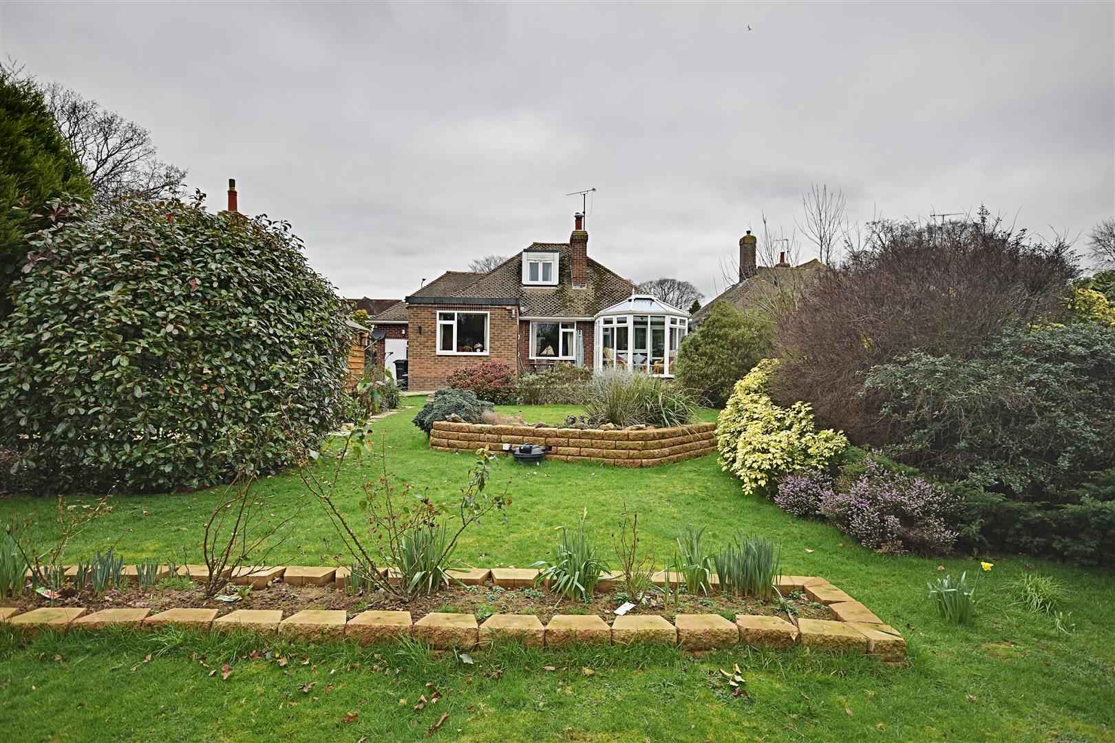 Turkey Road, BexhillOnSea Rush, Witt & Wilson